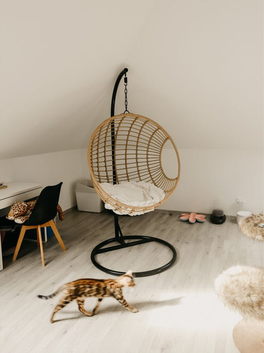 Pe Rattan Hanging Chair Natural Aspio